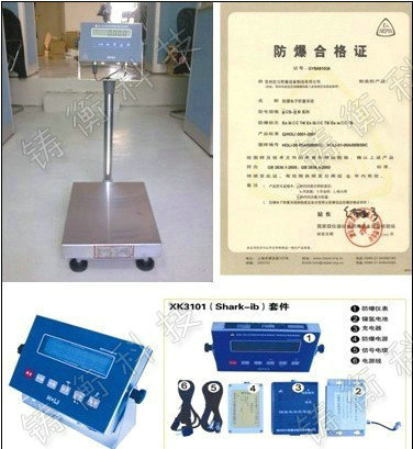 本安防爆式電子臺秤